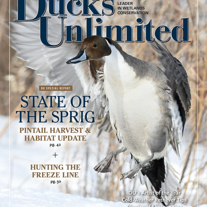 H2Ohio Featured by Ducks Unlimited