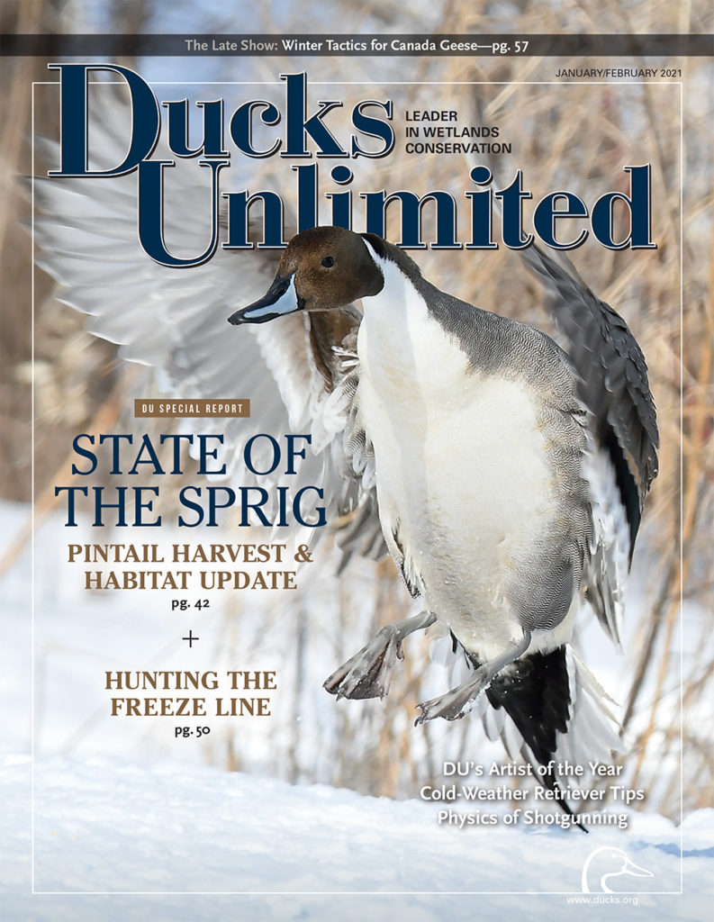Cover of Ducks Unlimited magazine